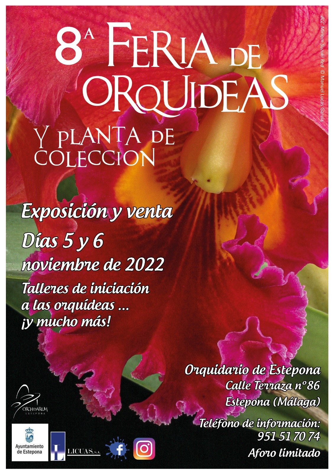 feriaorquideasestepona-1.jpg