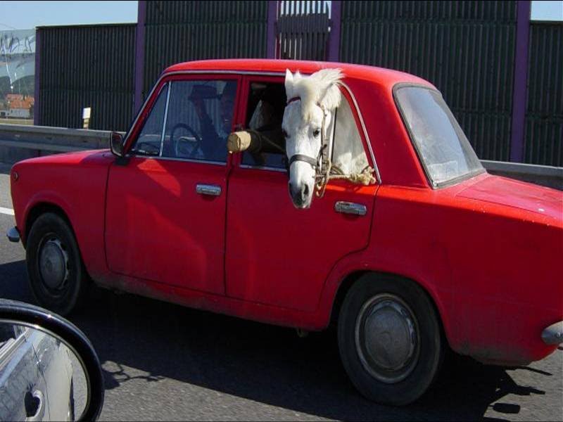 Ferrari.jpg