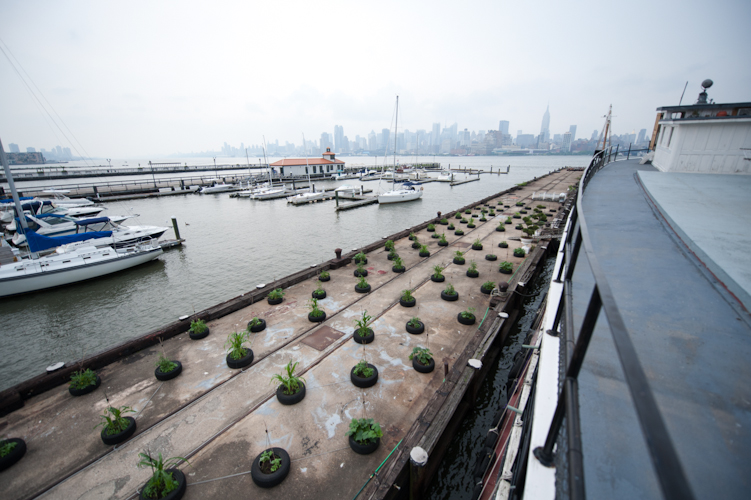 ferry101.jpg