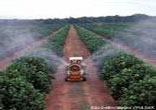 fertilizantes05g.jpg