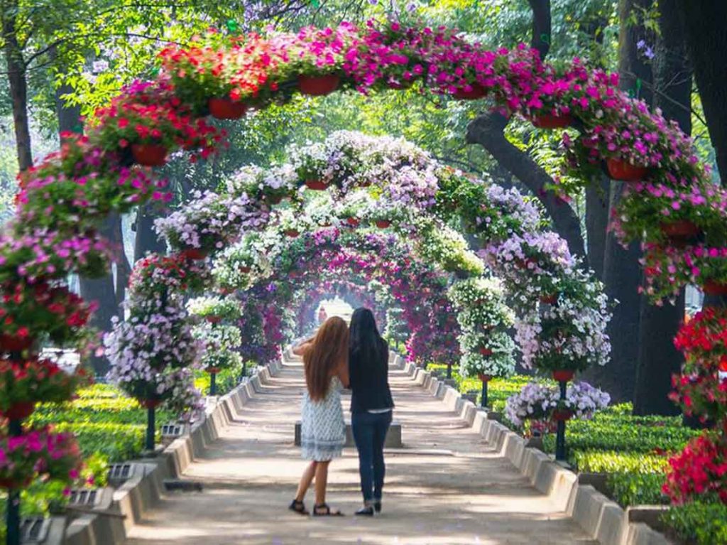 festival-de-flores-y-jardines-2018-en-chapultepec-06-1024x767.jpg