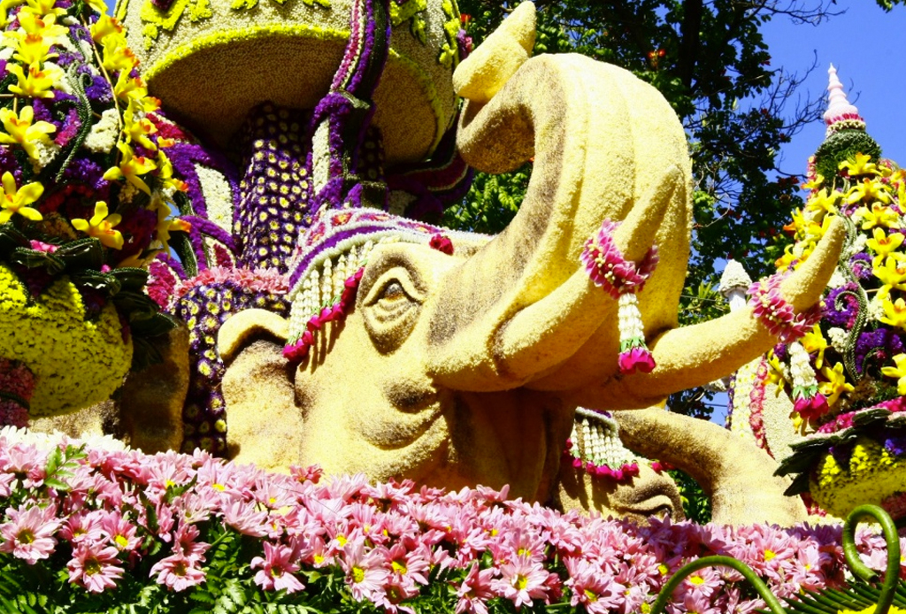 festivales-de-flores-en-el-mundo.jpg