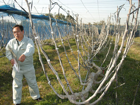 field%20test%20figs.jpg