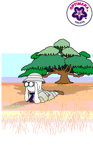 fieldguidevariety.gif