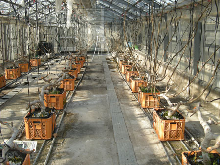 fig%20container%20system1.jpg