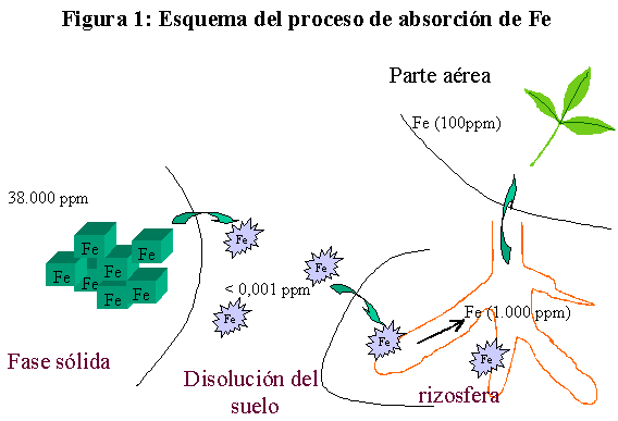 fig1.gif