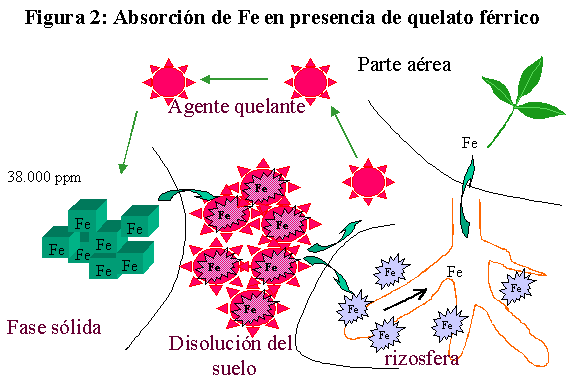 fig2.gif