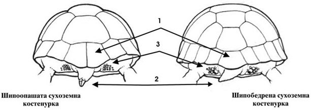 fig2_GPopgeorgiev.jpg