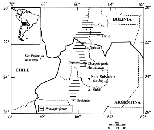 fig45.gif