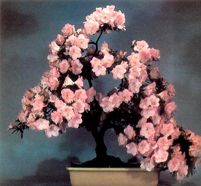 Fig6.jpg