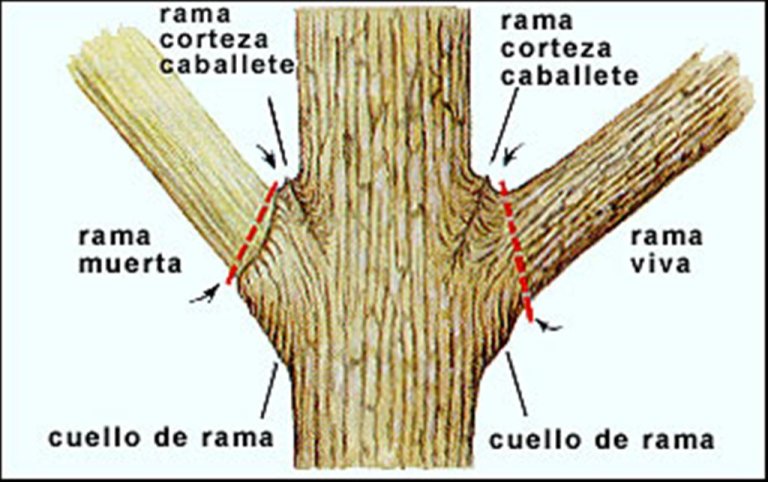 fig6a.jpg