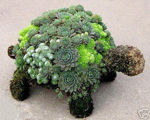 FIGURAS+CON+PLANTAS+Y+FLORES+%2832%29.jpg