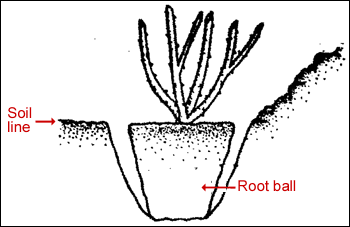figure07.gif
