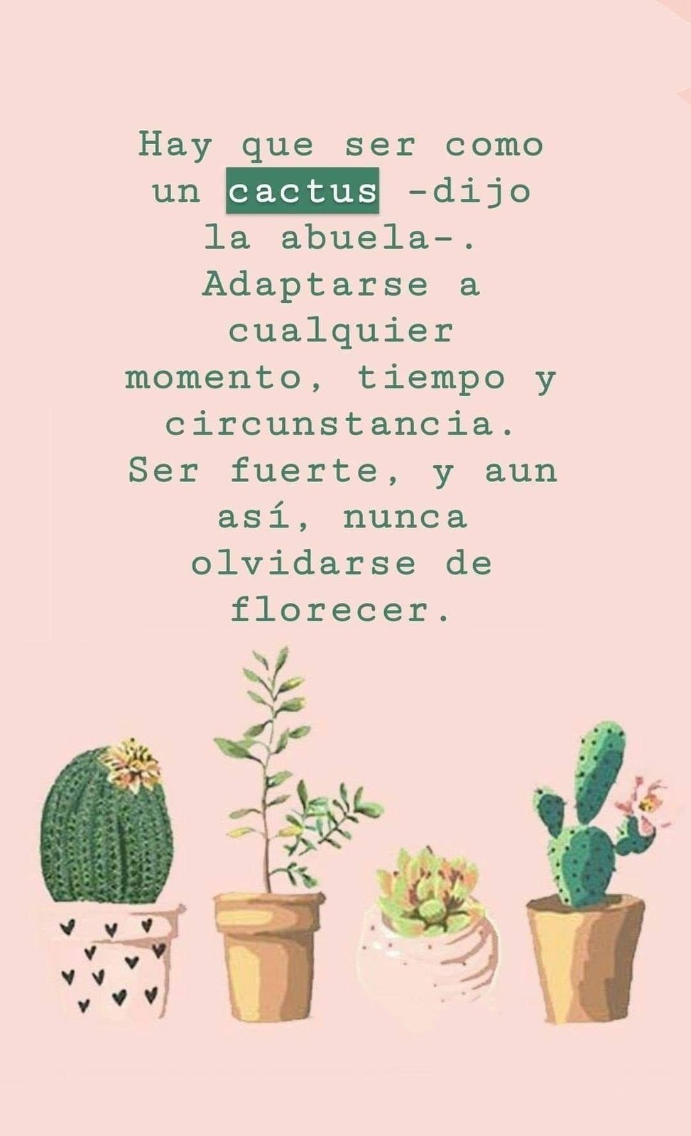 file.php?id=1947.jpg
