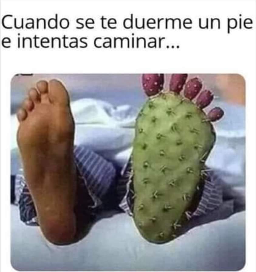 file.php?id=2024.jpg