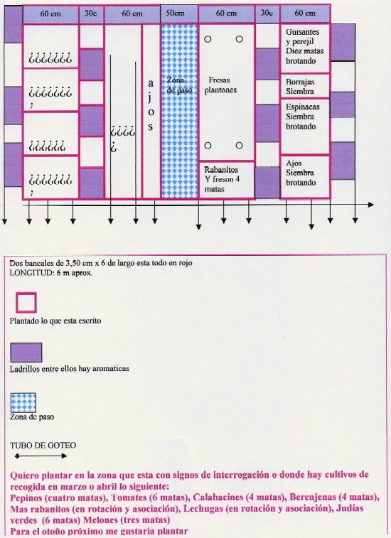 File0037.jpg