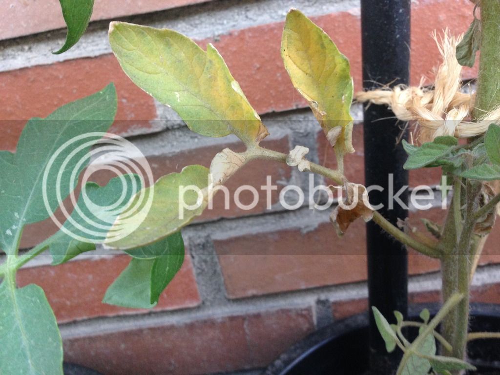 File_004_zpswe7il3d1.jpe
