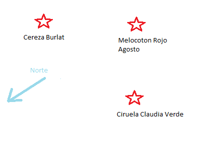 Finca3.png