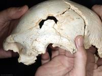 findecampanaenatapuerca.jpg