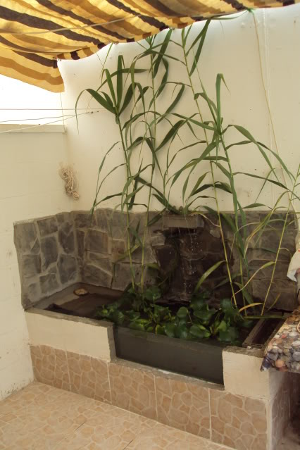 Finreformaestanque19-07012.jpg
