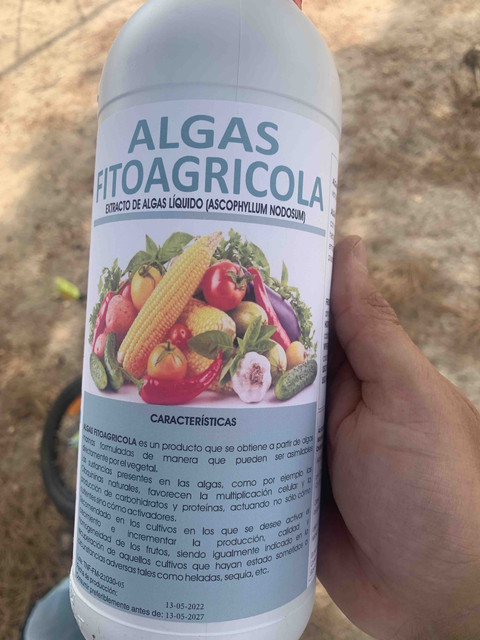 fitoagricola-agost-08.jpg
