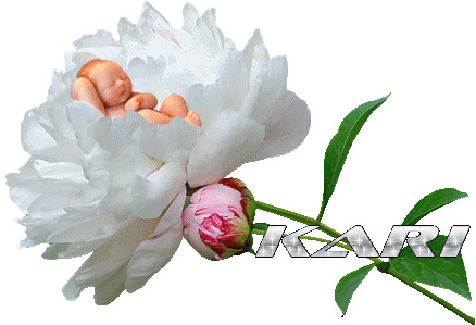 fky9ds.jpg