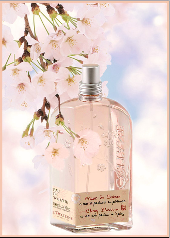Fleur+de+cerisier+L'occitane.jpg