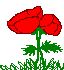 Flor-06.gif