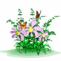 Flor-10.gif