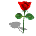 Flor-58.gif