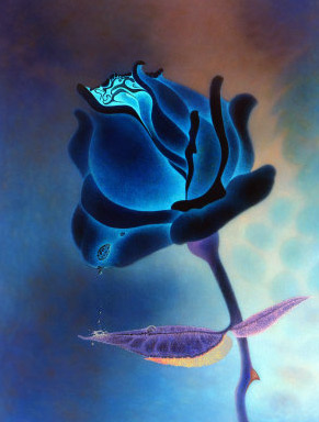 flor-azul-rosa-azul-3.jpg