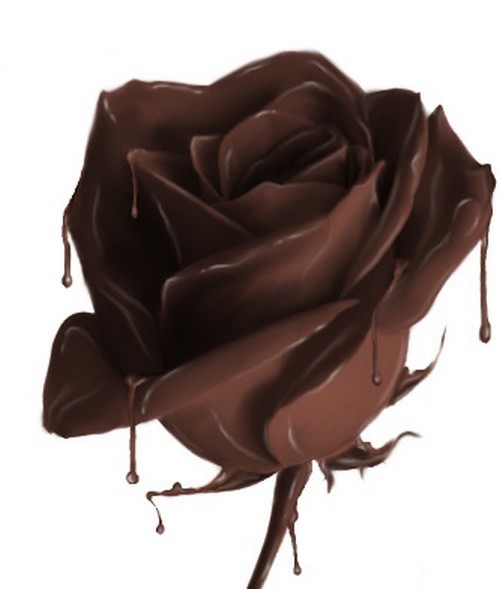 Flor-de-chocolate-propiedades-del-chocolate.jpe
