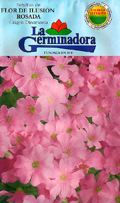flor-de-ilusion-rosada.jpg
