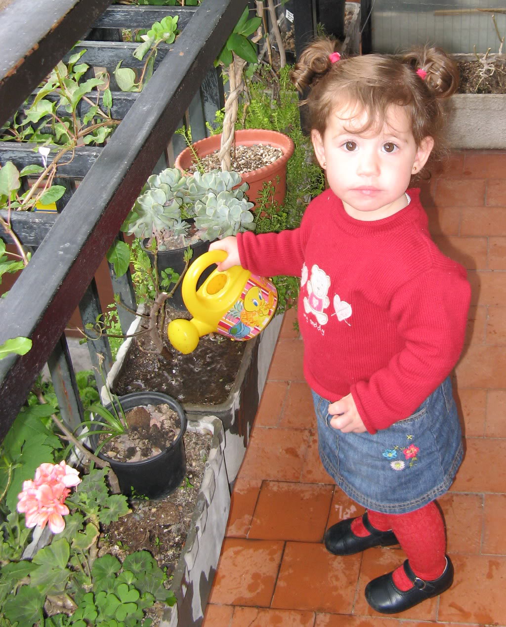 flor.jpg