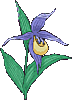 flor38.gif