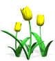 Flor45.gif