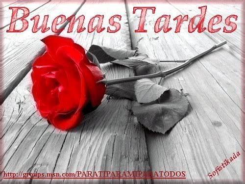 flor4btardesjpg.jpg