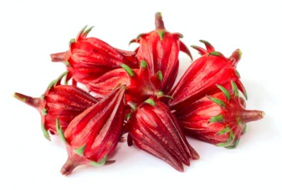 flor_de_jamaica.jpg