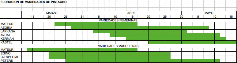 floracion-pistacho.jpg