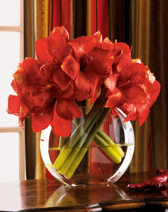 flores-1.png