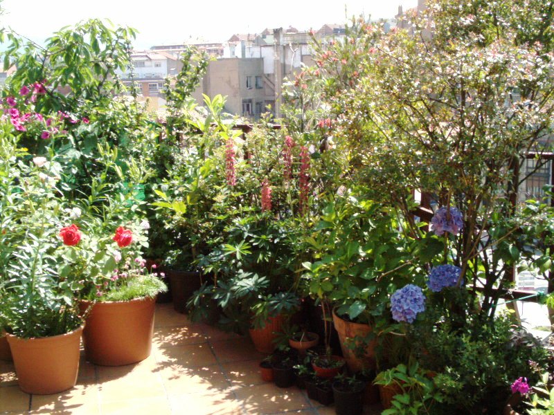flores%20028.jpg