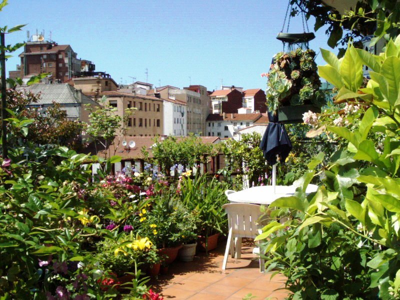 flores%20042%7E1.jpg