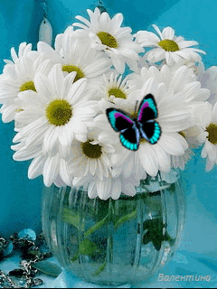 flores%252Bimagen%252Banimada%252Bdaisy%252Bflower%252Bgif%252B02.gif