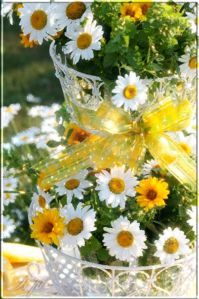 flores%252Bimagen%252Banimada%252Bdaisy%252Bflower%252Bgif%252B09.gif