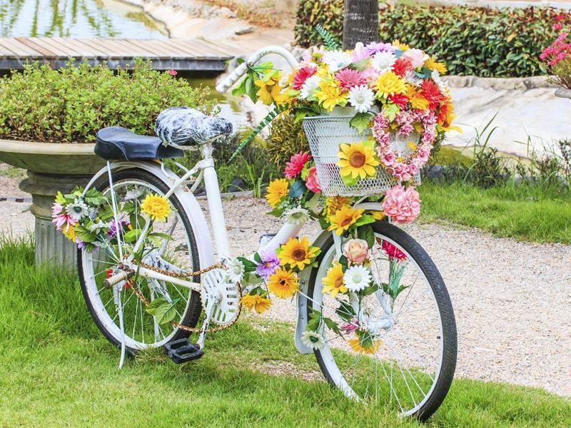 flores-bici.jpg