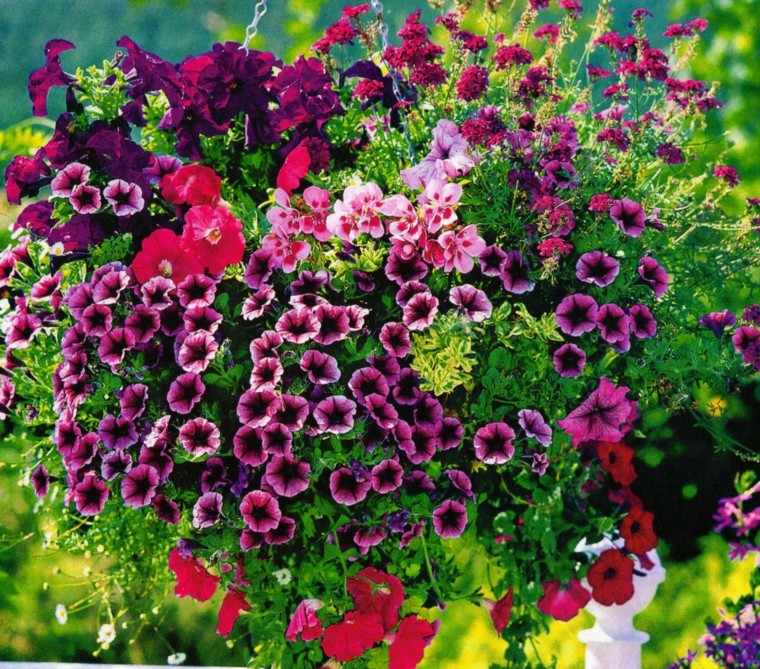 flores-bonitas-macetas-colgantes-jardin.jpg