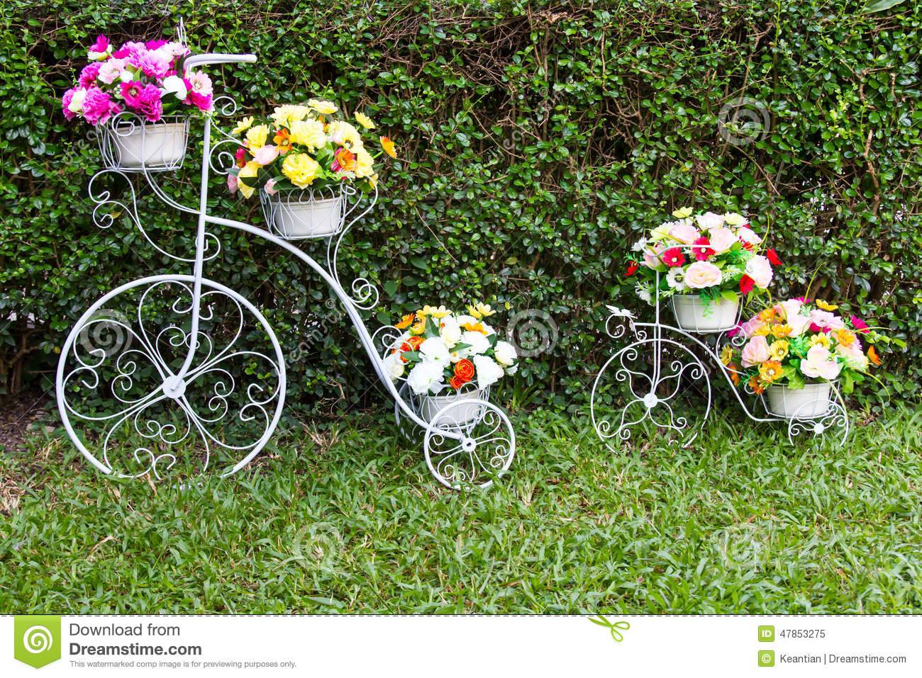 flores-del-inventor-de-la-bicicleta-47853275.jpg