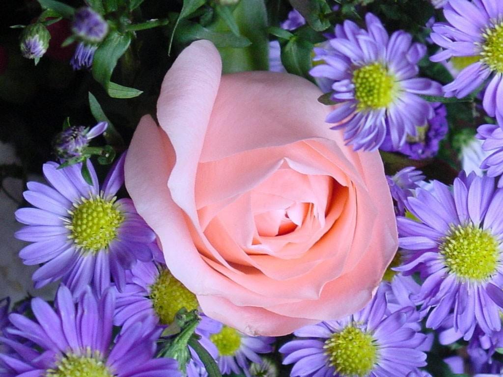flores-frescas.jpg