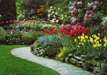 flores.jpg
