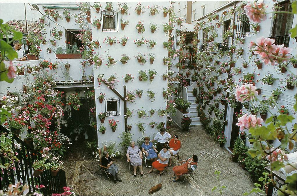 Flores.jpg